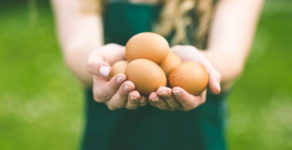 Genialny biznes oparty na kurzych jajach