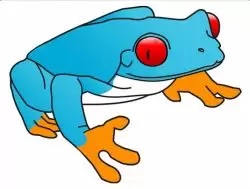 blue-frog-opinia-o-kancelarii-lech-bydgoszcz