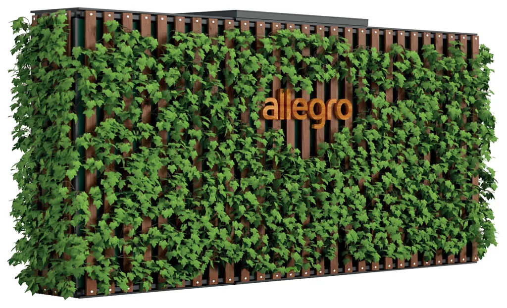 strefa marek allegro